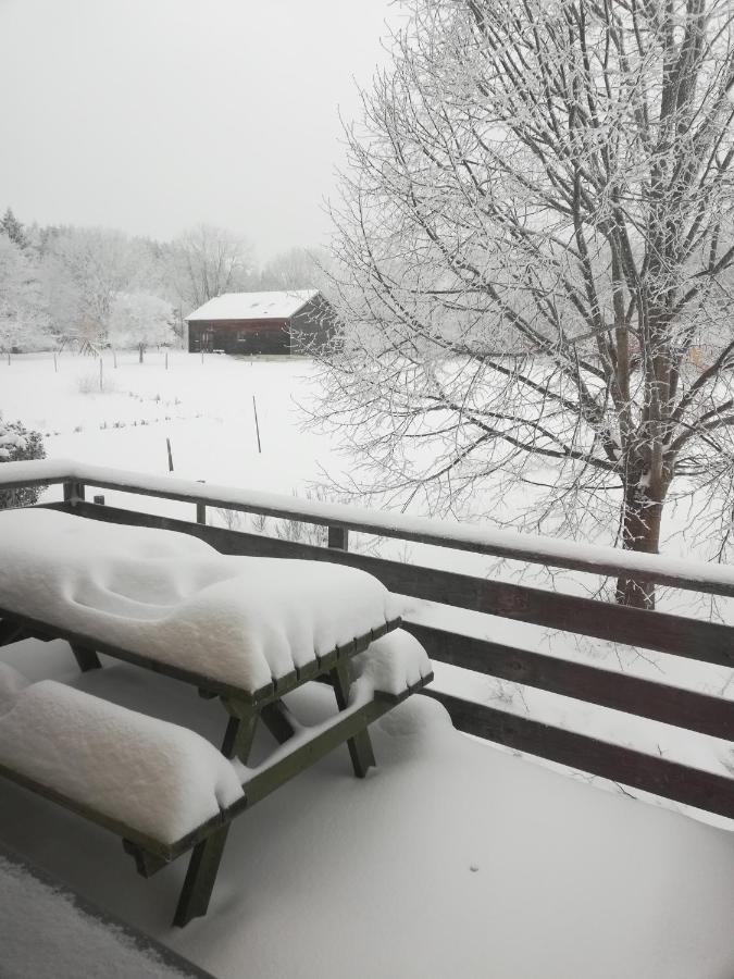 Gite La Ferme De Baffour La Chaise-Dieu Esterno foto